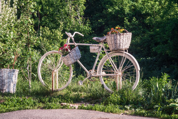 Decorative white old bike flowerbed in the street.