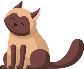 Cute Siamese cat sits and smiles. Lucky Thai breed cat, beige color with dark paws, muzzle and tail. Isolated on white background.