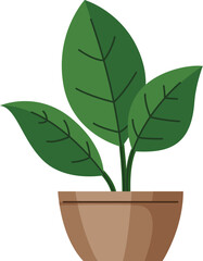 Vector cartoon house plant with leaves in a pot. A plant for the interior of an office or home. Isolated on white background. Stock vector.