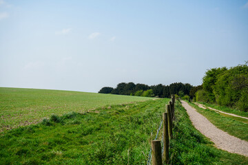Fototapeta na wymiar Old fence in a green farm field