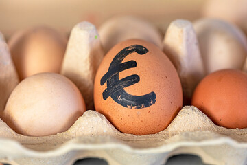 simple brown egg with a painted euro in an egg container. Economic crisis. horizontal.