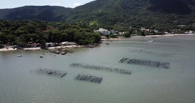 Criatorio de Ostras em Santo Ant&ocirc;nio de Lisboa em Florian&oacute;polis