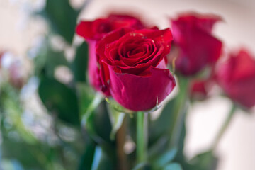Red Roses in a Bouquet with Baby’s-Breath