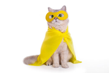 White cat in a yellow mask and cape, sits on isolated white background