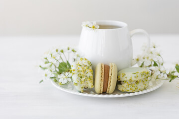 Traditional delicious French dessert - sweet homemade macarons on a vintage plate. Colourful tasty macaroons served on a white china with herbal tea. Decorated with fragile cherry tree flowers.