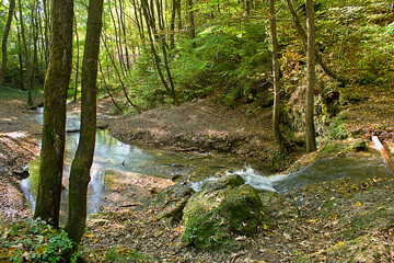 a forest stream with a waterfall in an autumn forest