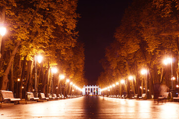 Fototapeta na wymiar lights in the park