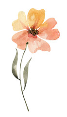 Obraz na płótnie Canvas Pink flower, watercolor illustration for postcards and design.