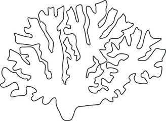Contour vector drawing of a coral. Coloring coral on a white background.