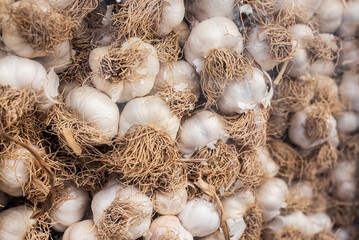 Fresh garlic on market stall, close up