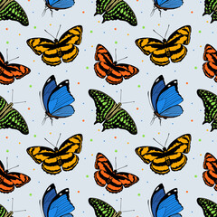 Butterflies seamless pattern. Tropic butterflies Flying on blue background in flat style. vector illustration