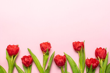 Festive composition with fresh red tulips on light pink background with copy space for your design. Spring holidays greeting card.