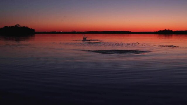 Man skipping a stone across a still lake at dusk in slow motion.