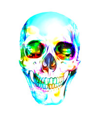 Artistic illustration of a single human skull on a white background