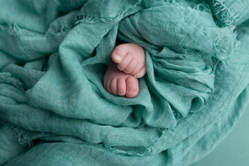 Soft feet of a newborn. baby limbs