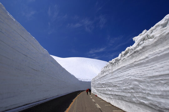 立山黒部 雪の大谷 ウォーキング ゾーンの風景 ( 2022年4月 富山県 立山町 )