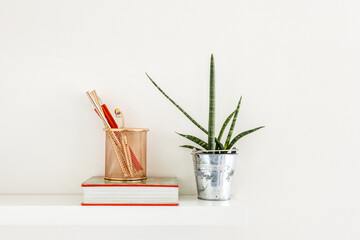 A book along with a bucket of pens and a sansevieria cylindrica plant on a white wall shelf