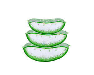 aloe vera isolated on the  transparent png