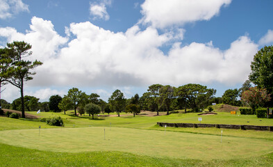 Fototapeta na wymiar Campo de deporte de golf con un verde e impecable césped en verano