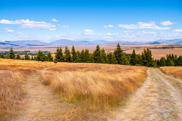 Fototapeta premium views of lake tekapo and surroundings, new zealand