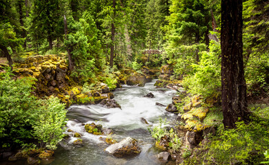 Rogue Umpqua Wilderness Oregon