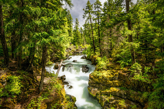 Rogue Umpqua Wilderness Oregon