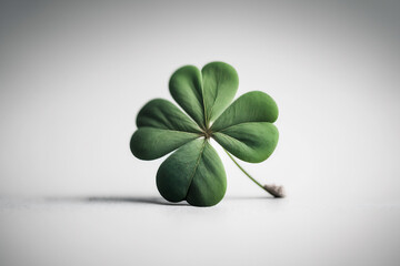 four leaf clover isolated on white, shamrock, st. patrick's day