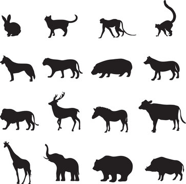 different animals silhouettes isolated. Outlined black animals without background