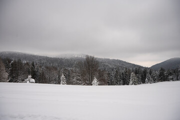Zima w g&oacute;rach, Zima, Zimowy las, G&oacute;ry zimą, Polskie G&oacute;ry 