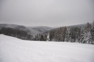 Zima w górach, Zima, Zimowy las, Góry zimą, Polskie Góry 