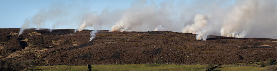 Panorama of controlled burning on heather moorland, in the North York Moors