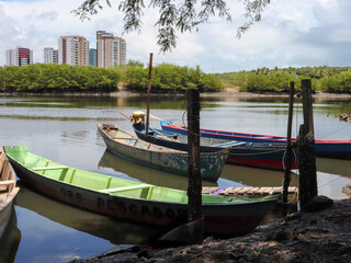 City with a river and green vegetation around and boats on the banks on a day of blue sky and buildings in the background