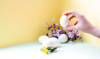 a female hand holds a chicken egg on a yellow background, eggs and flowers lie nearby