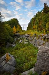 Overhead power lines through trees in Coopers Rock State Forest, West Virginia