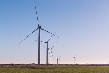 wind turbines in the field at sunrise