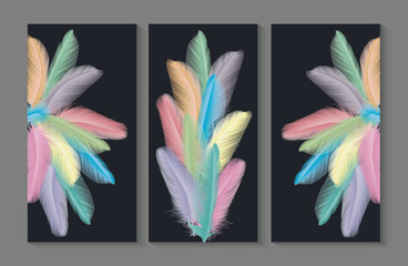 Set of modern creative illustrations with colorful feathers. Modern creative design for home decor, banners, and prints. Vector illustration.