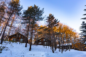 The woods log cabins with snowy rooftop, deep snow outside, morning serene natural landscape in Japan on January 2023.