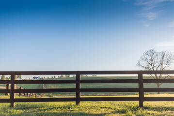 Horse Fence with Blue Sky