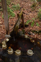 晩秋の達沢不動滝