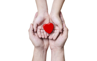 beautiful red heart in the hands of a child and his father - transparent png