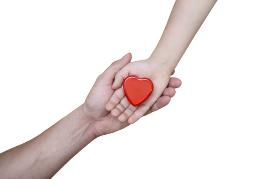 beautiful red heart in the hands of a child and his father - transparent png - Powered by Adobe
