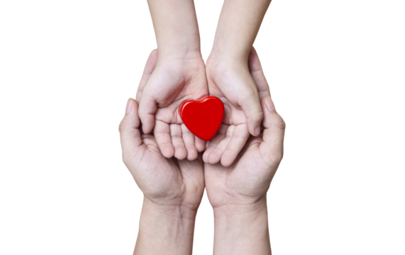 beautiful red heart in the hands of a child and his father - transparent png - Powered by Adobe