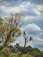 Styx_Mill_Reserve_12_Feb_2023