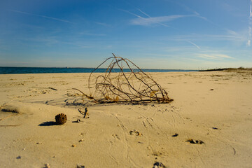 sand beach in the morning