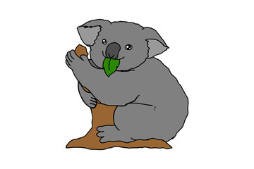 Animal Vector - Koala Is On A Tree Eating Leaves