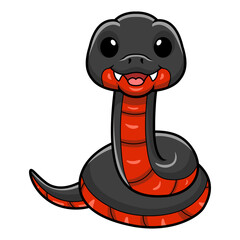 Fototapeta premium Cute red bellied black snake cartoon