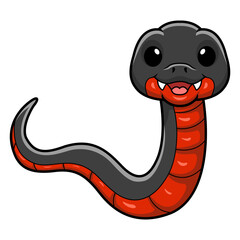 Fototapeta premium Cute red bellied black snake cartoon