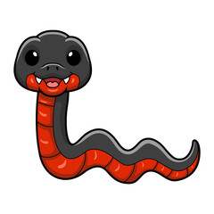 Fototapeta premium Cute red bellied black snake cartoon