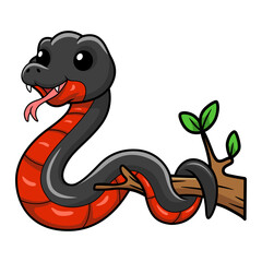 Naklejka premium Cute red bellied black snake cartoon on tree branch