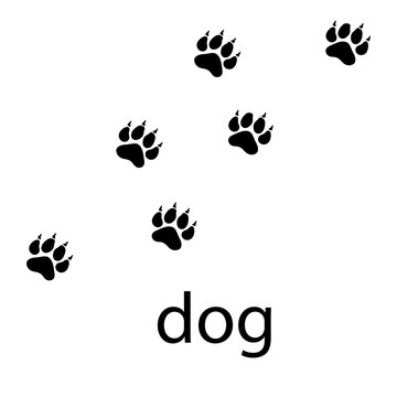 Dog Paw Logo design vector illustration design template 